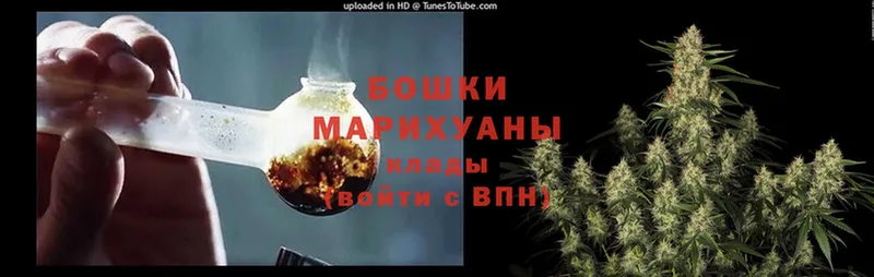 Шишки марихуана OG Kush  где продают   OMG онион  Заозёрск 